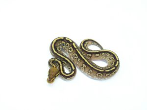 スーパーカーネージモハべハリケーンヘテロクラウン