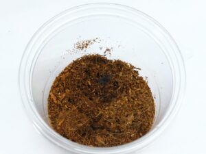 ベトナミーズブルーアースタイガー