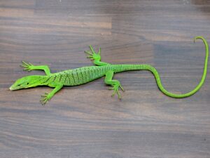 エメラルドツリーモニター